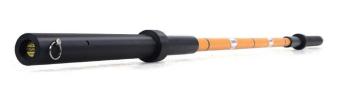 Elastic Barbell