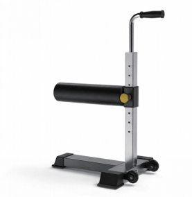 Single Leg Squat Rack