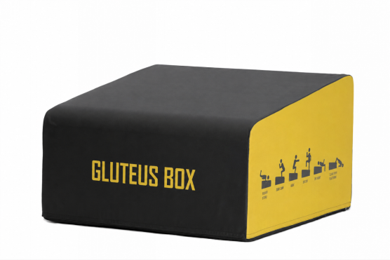 Gluteus Box